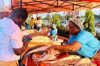 Ghana Supports Liberia’s Blue Economy Drive at Fisheries Investment Conference