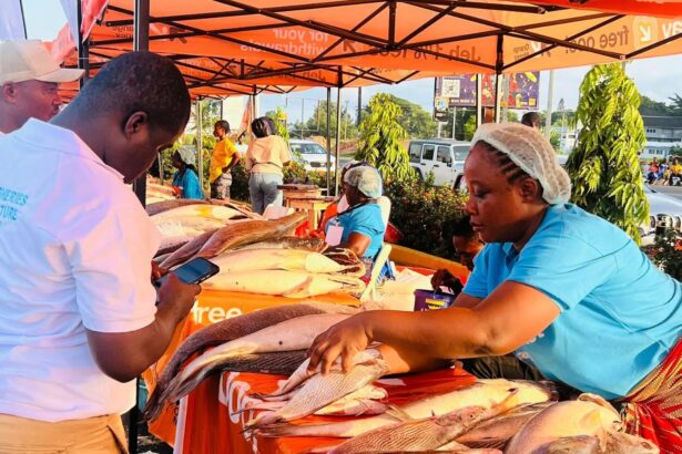 Ghana Supports Liberia’s Blue Economy Drive at Fisheries Investment Conference