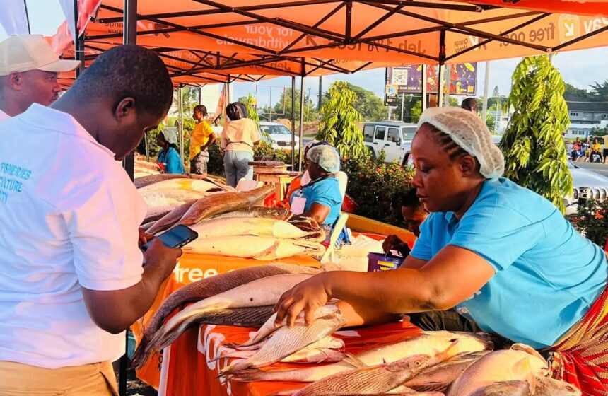 Ghana Supports Liberia’s Blue Economy Drive at Fisheries Investment Conference