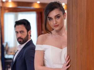 The Other Wife 1