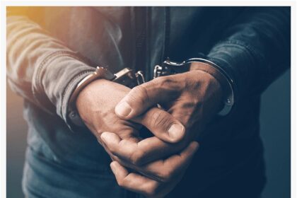Criminal in a Car Robbery Group Busted
