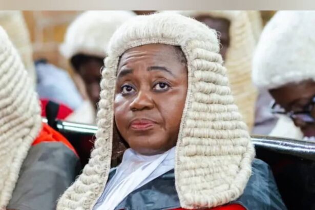 Suspension of CJ: Tokonor Won’t Be Restored But Posterity Will Judge the NDC Government – Miracles Aboagye