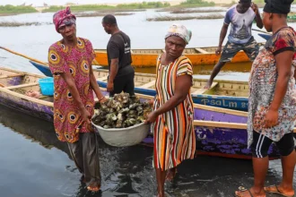Oyster Farming in Ghana Under Pressure as Women Fight Climate Change Impacts