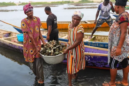 Oyster Farming in Ghana Under Pressure as Women Fight Climate Change Impacts