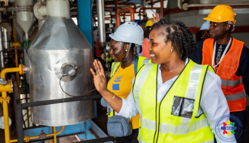 GEA CEO Commends Impact ‘Nuts for Growth’ on Shea Industry By
