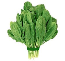 Tackle These Problems with Diet!