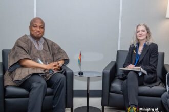 Security Risk From US Visa Reversal – Ablakwa