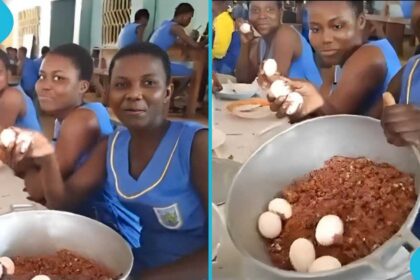 Kumasi Poultry Farmers Urge Gov’t to Revive “Egg Day in SHS” Initiative