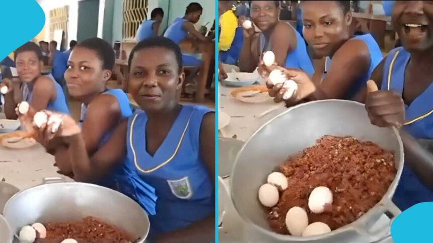 Kumasi Poultry Farmers Urge Gov’t to Revive “Egg Day in SHS” Initiative