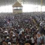 Resurrection Power New Generation Church: Youths Call for Reform and Transparency