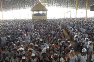 Resurrection Power New Generation Church: Youths Call for Reform and Transparency