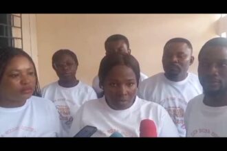 Harnessing French Language for Economic Growth: Advocates Urge Ghana to Prioritize French Education