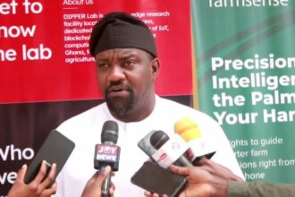 Deputy Agric Minister Allays Fears Over Crops Grown in Galamsey-Affected Areas