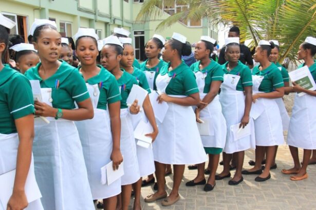 Nurses, Midwives Push for Better Welfare as GRNMA Holds 19th Biennial Conference