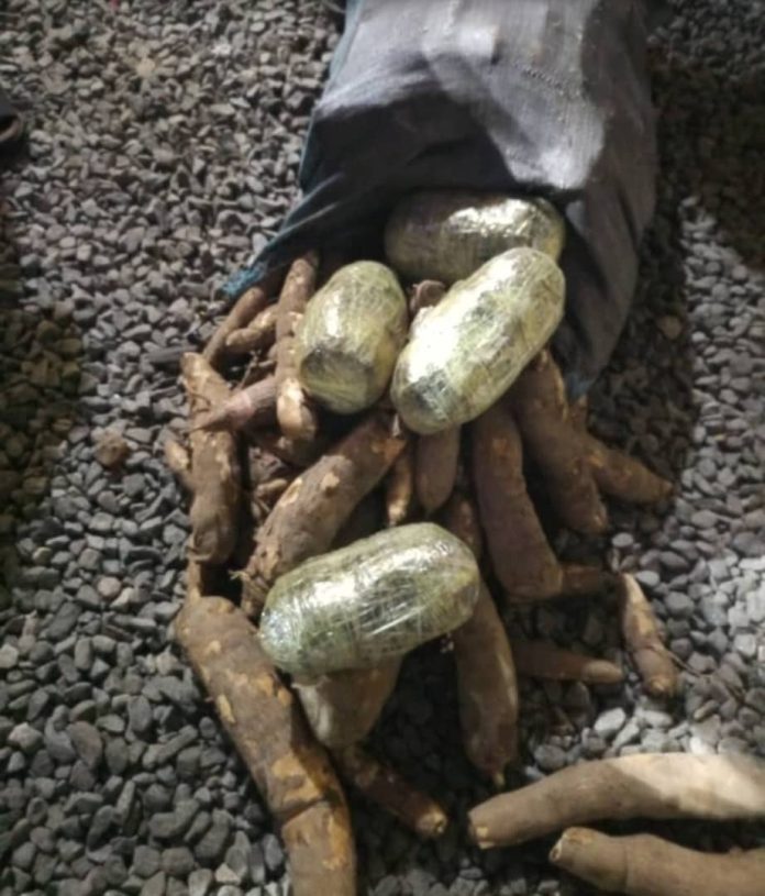 Ashaiman Drug Bust: Police Seize 18 Slabs of Indian Hemp Hidden Among Cassava