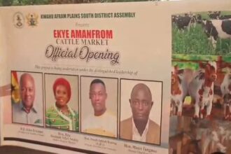 Kwahu Afram Plains South Opens Cow Market to Boost Revenue and Support Local Farmers