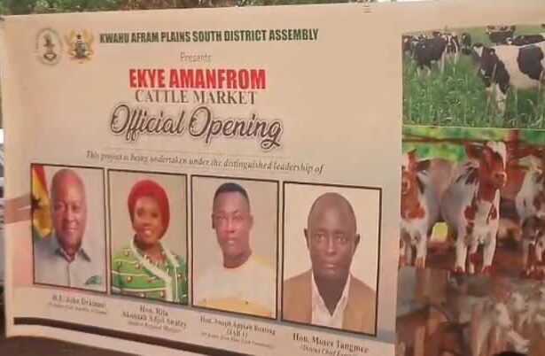 Kwahu Afram Plains South Opens Cow Market to Boost Revenue and Support Local Farmers