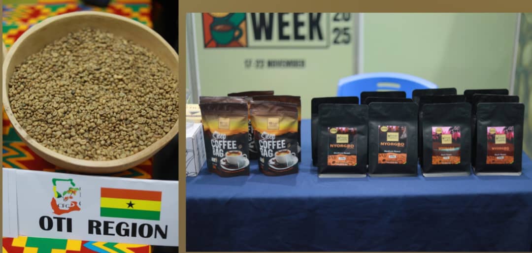 Coffee Federation Pushes for Stronger Government and Private-Sector Support to Scale Ghana’s Coffee Industry