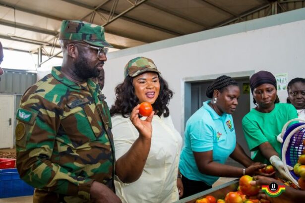 NSA DG Commends Youth Choosing Agriculture Over White-Collar Jobs