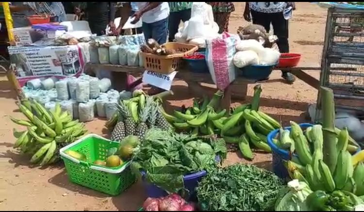 Awutu Senya East MP Encourages Youth to Venture into Agriculture