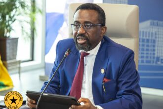 BoG Urges Diaspora to Channel Remittances into Productive Investments