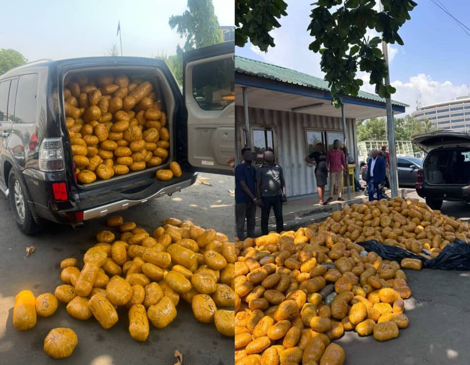 Tema Police Intercept Over 1,600 Parcels of Suspected Narcotic Drugs