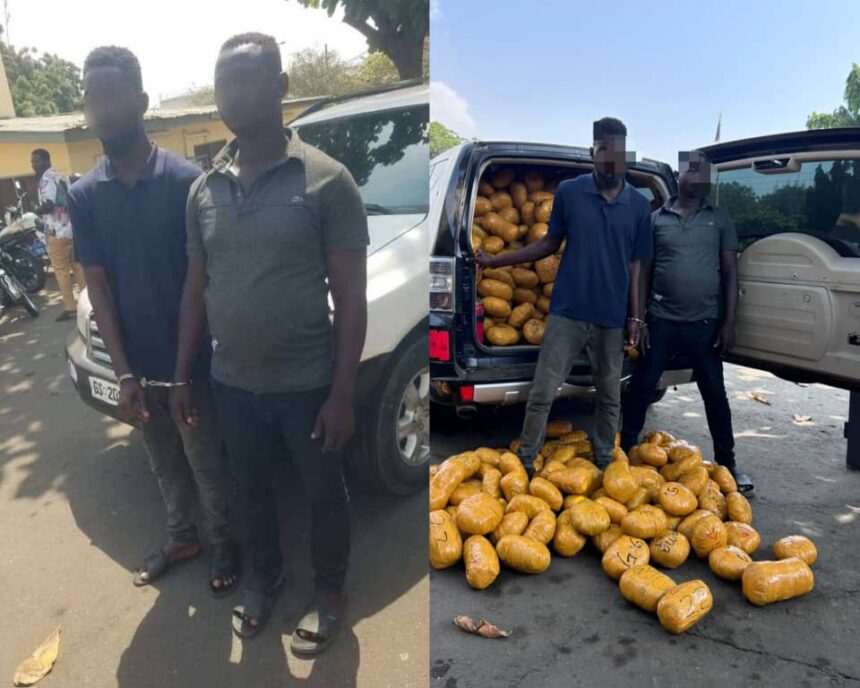 Tema Police Intercept Over 1,600 Parcels of Suspected Narcotic Drugs