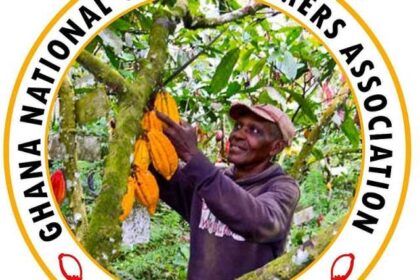 Cocoa Farmers Threaten Nationwide Protest Over Welfare Demands