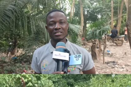 Residents of Numereso Forced to Climb Mountain for Mobile Network Access