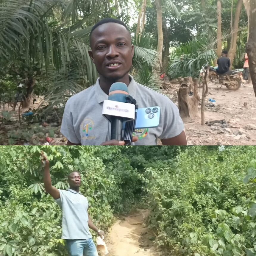 Residents of Numereso Forced to Climb Mountain for Mobile Network Access