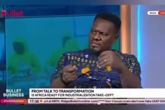 Africa Trading to Develop, Not Just Survive – AfCFTA Consultant