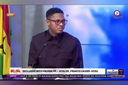 Sosu Calls for Political Reforms After Ayawaso East Primary Controversy