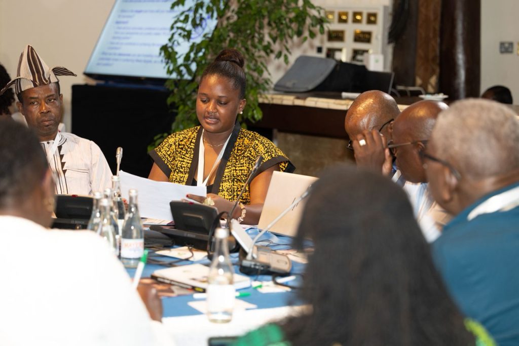 Josephine Adatsi Represents Youth at Continental Education Meeting
