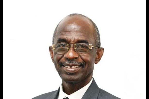 Mismanagement Under Akufo-Addo Deepened Cocoa Crisis – Asiedu Nketia