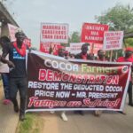 Cocoa Farmers in Western North Protest Producer Price Cut