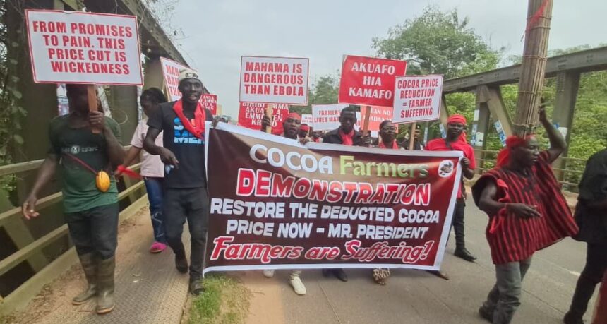 Cocoa Farmers in Western North Protest Producer Price Cut