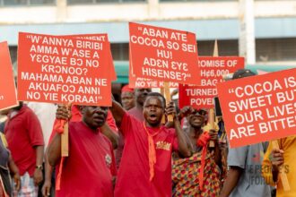 Western North Cocoa Farmers Picket COCOBOD Headquarters, Demand Restoration of Producer Price