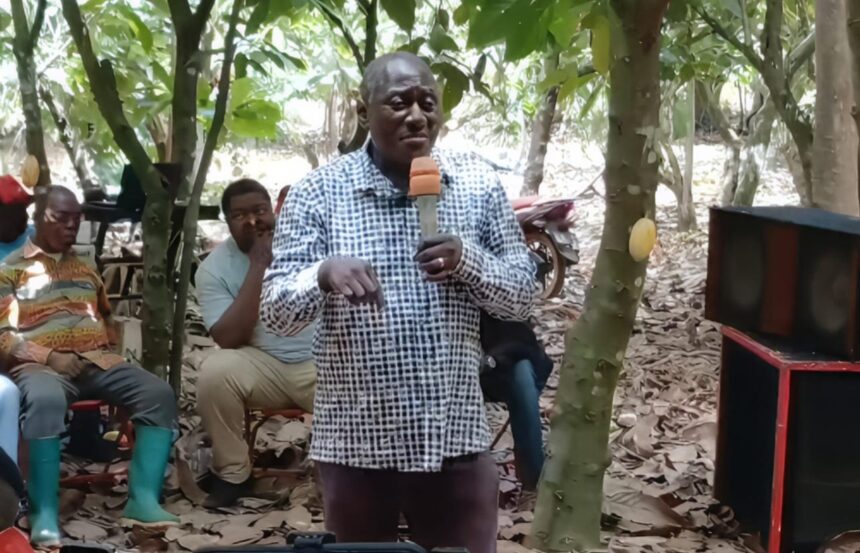 ‘Thieves Now Target Avocados Instead of Cocoa’ – Damoah Slams Falling Cocoa Prices