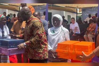 EU Boosts ‘Feed Ghana’ Programme with 150,000 Poultry Birds to Cut Imports