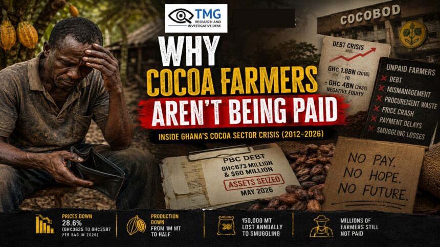 Cocoa Farmers not paid by TMG Research & Investigative Desk