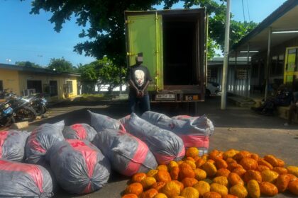 Tema Police Intercept Suspected Indian Hemp Consignment, Arrest One