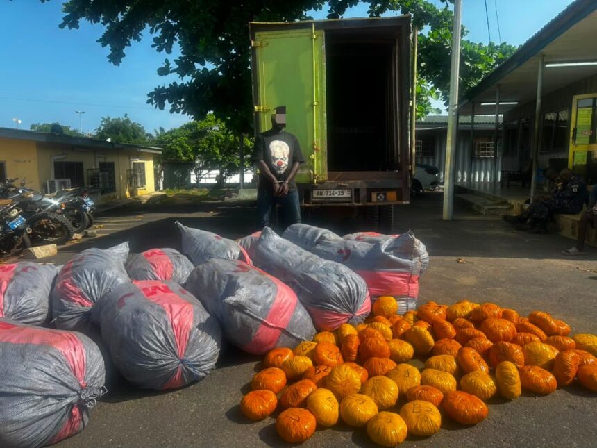 Tema Police Intercept Suspected Indian Hemp Consignment, Arrest One