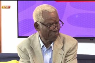 Democracy Thrives on Honesty and Proper Practice — Nunoo-Mensah