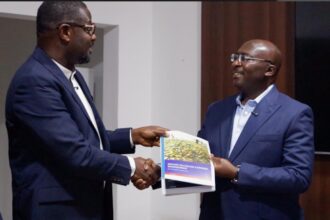 New Patriotic Party's (NPP) 2028 presidential candidate, Mahamudu Bawumia shaking hands with Minority Chief Whip Frank Annoh-Dompreh(left)