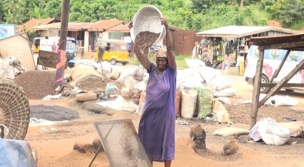 A woman pouring crushed nuts to separate the chaff